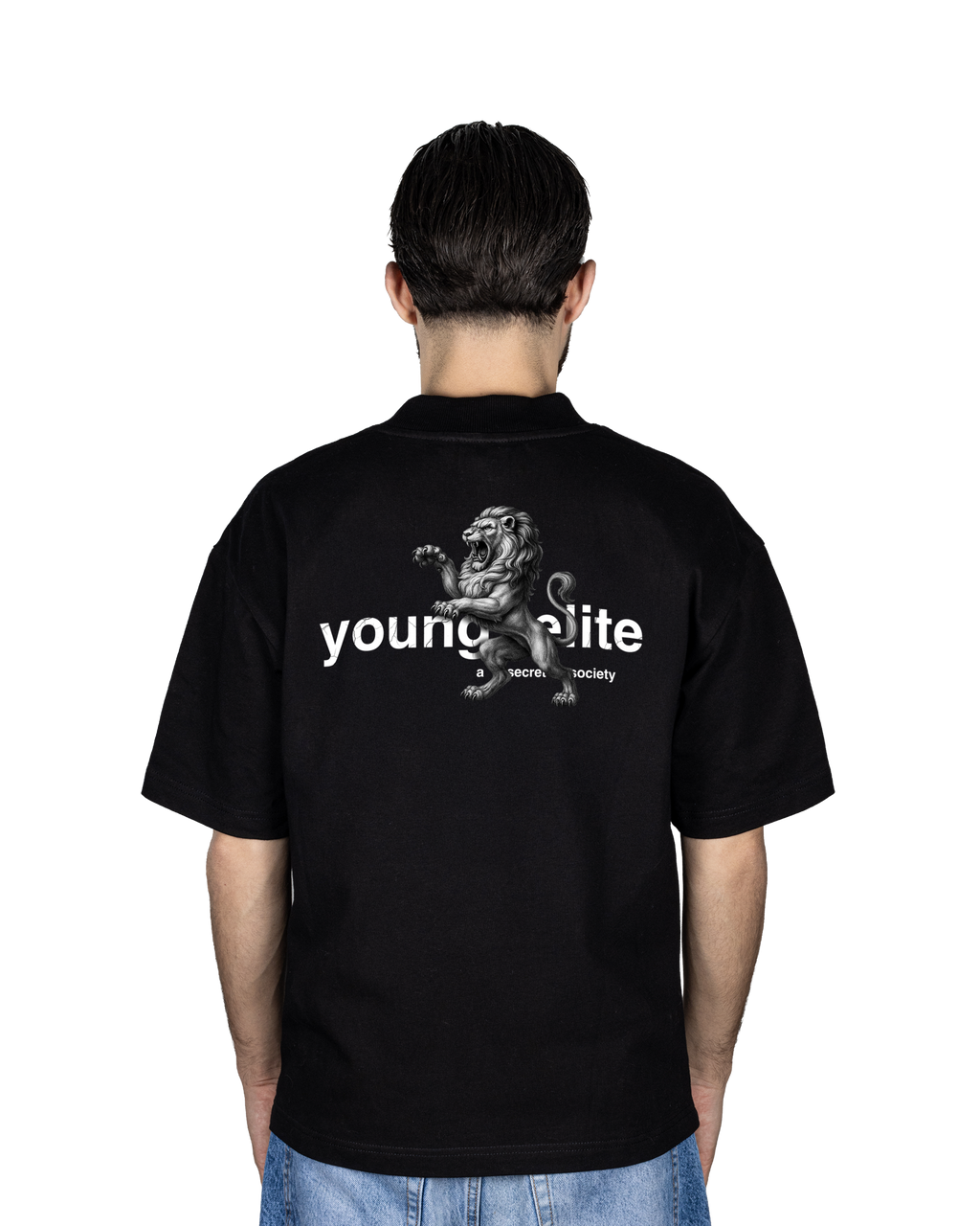 Lions HeavyTee image 3